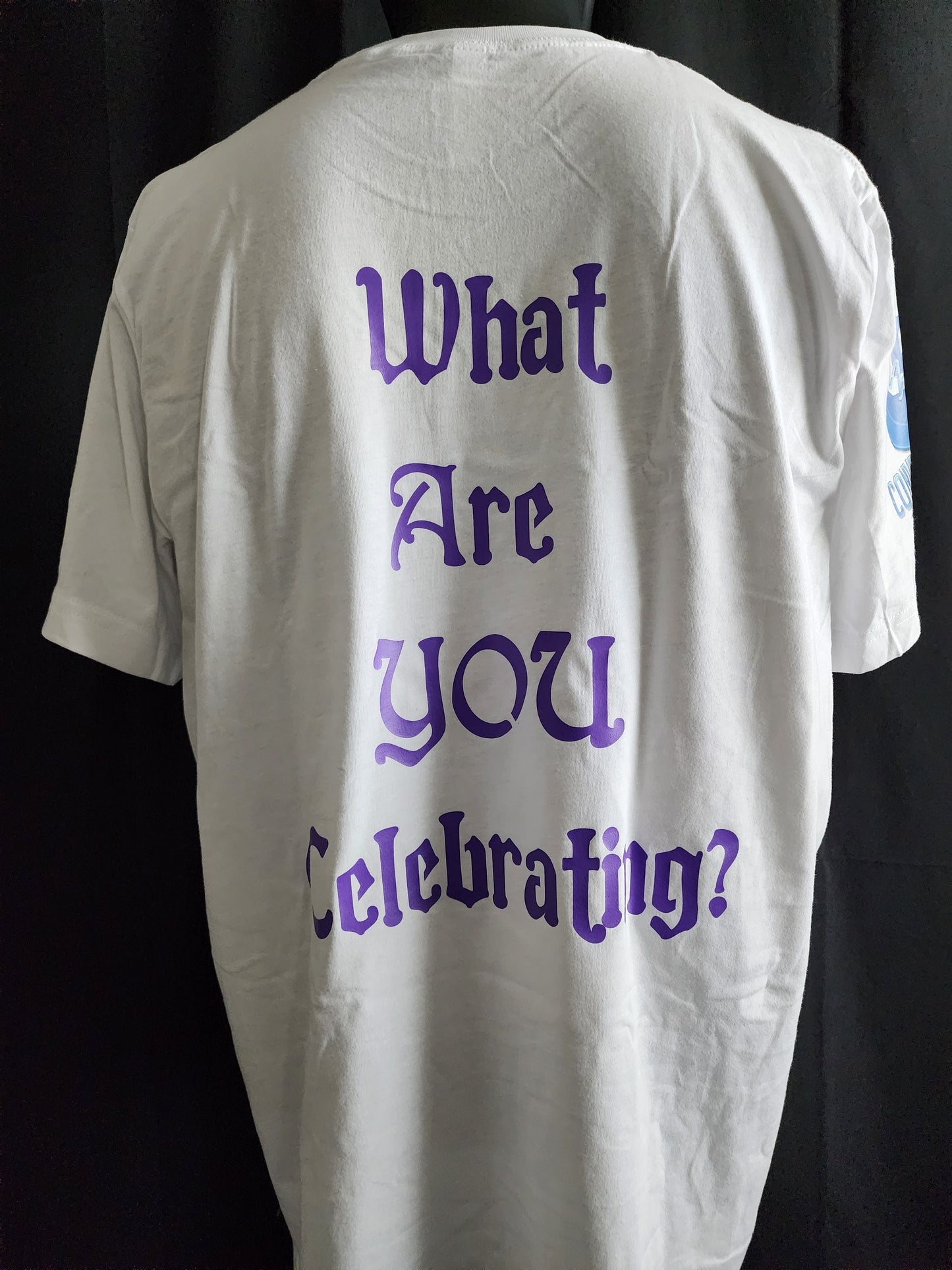 Life Ain't A Party Tee